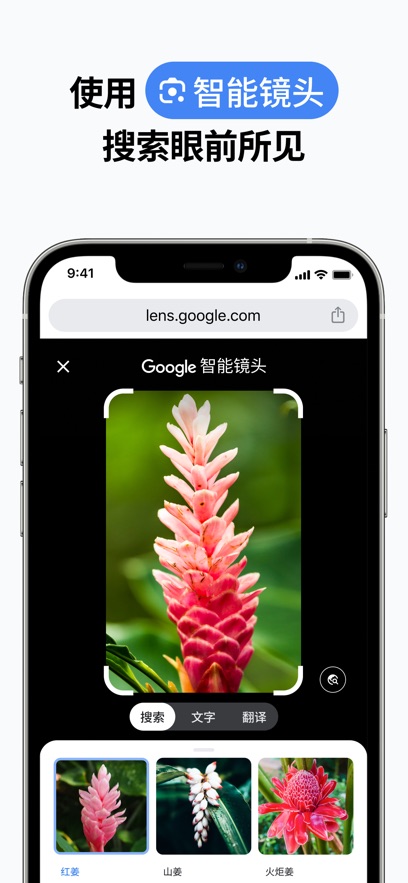 com.android.chrome下载安装最新版2025官方正版?3: