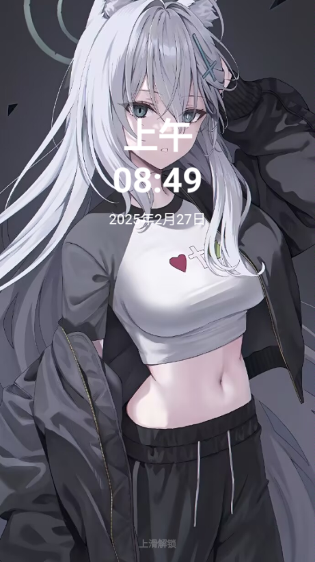 NerveOS主题下载安装图3