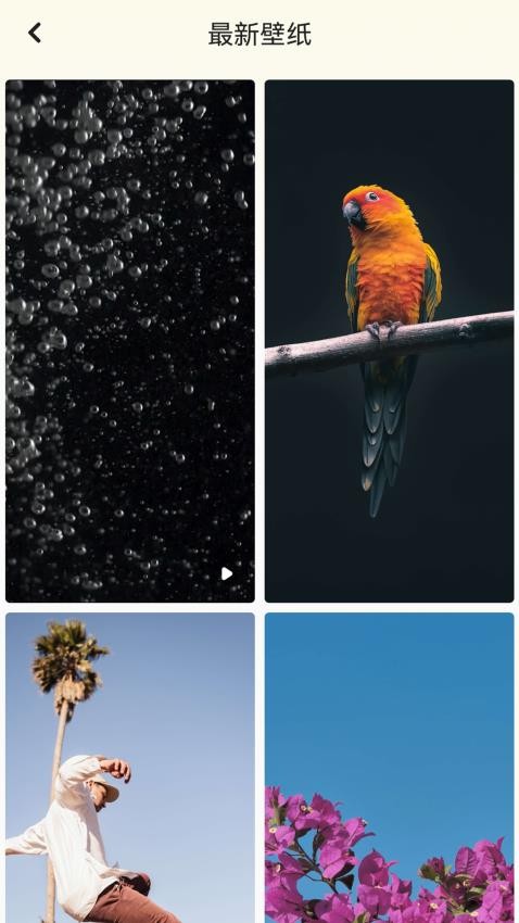 背景图片大全照片软件手机版下载?2: