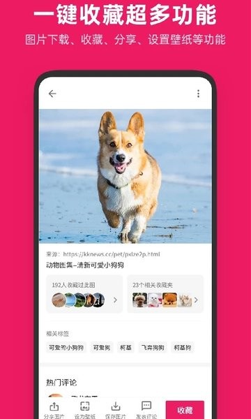 图片搜搜app高清无水印版下载?2: