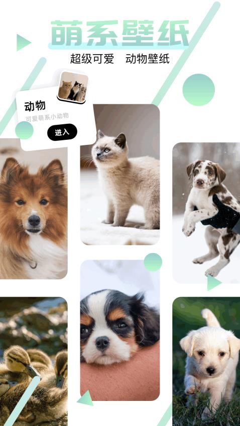 神图订制app图1