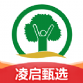 凌乡甄选