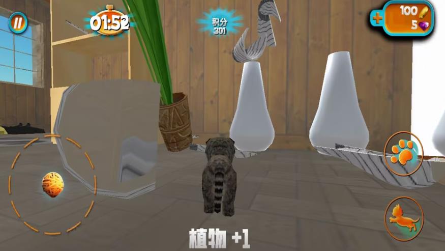 奶奶贴心小猫官方最新版图片1