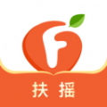 扶摇小说