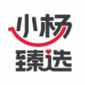 小杨臻选