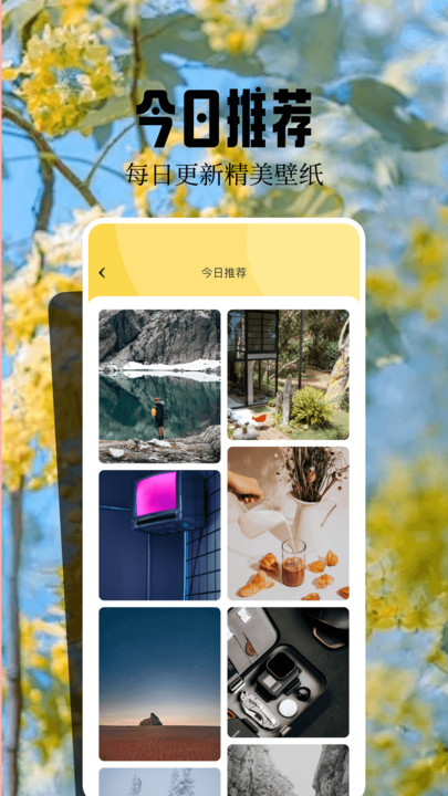 桌面壁纸精灵app下载安卓版?2: