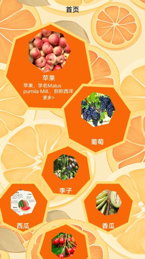 柚子快报告手机版下载安装?2: