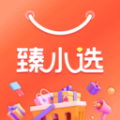 臻小选