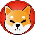 shib币交易所