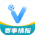 V站
